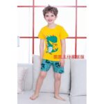 بلوز شورت بچه گانه طرح دایناسور بازیگوش